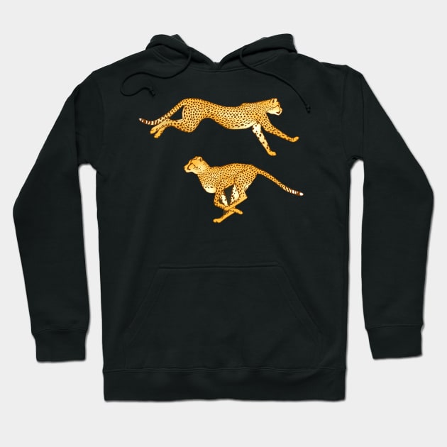 Sprinting Cheetahs Hoodie by PerrinLeFeuvre